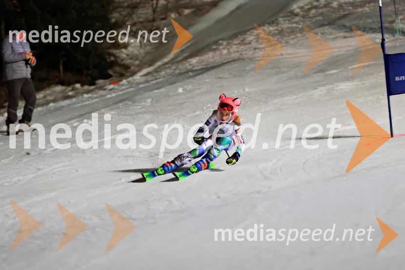Koroški pokal 2026 - 2. tekma - Ribnica na Pohorju