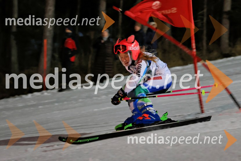 Koroški pokal 2026 - 2. tekma - Ribnica na Pohorju