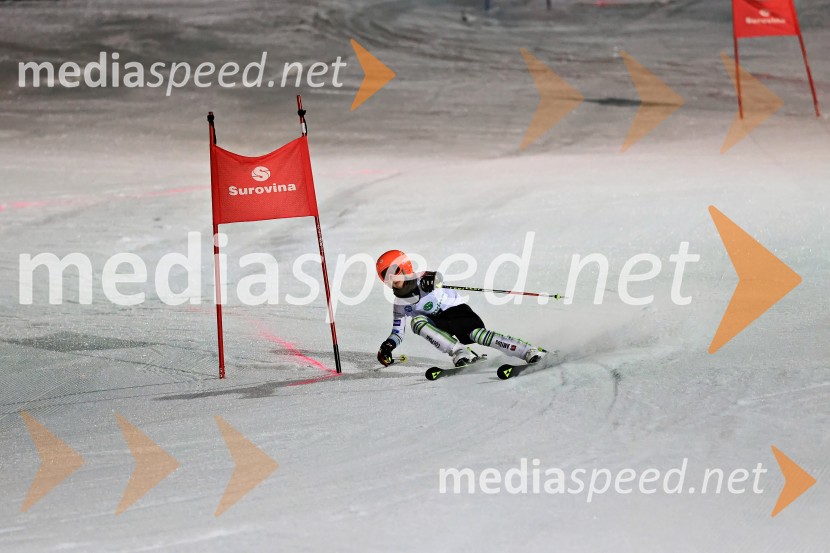 Koroški pokal 2026 - 2. tekma - Ribnica na Pohorju