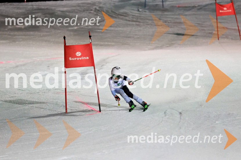 Koroški pokal 2026 - 2. tekma - Ribnica na Pohorju