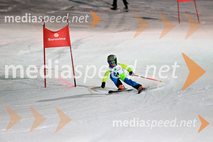 Koroški pokal 2026 - 2. tekma - Ribnica na Pohorju