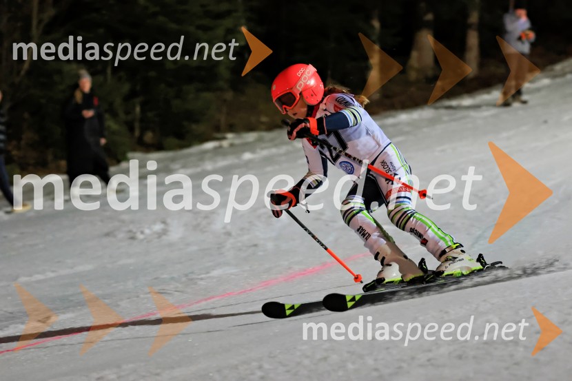 Koroški pokal 2026 - 2. tekma - Ribnica na Pohorju