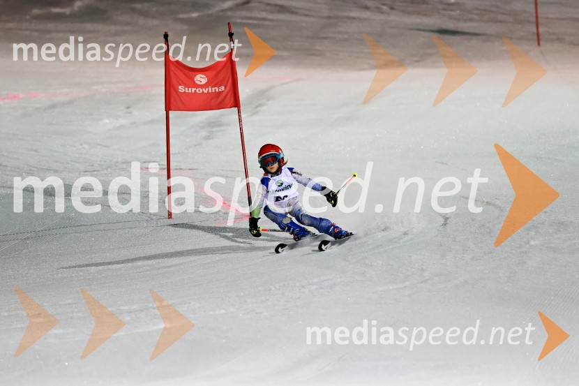 Koroški pokal 2026 - 2. tekma - Ribnica na Pohorju