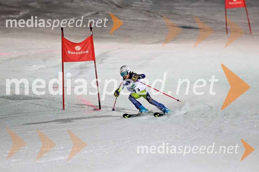 Koroški pokal 2026 - 2. tekma - Ribnica na Pohorju