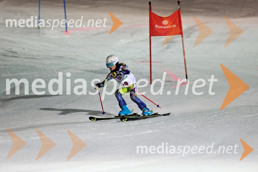 Koroški pokal 2026 - 2. tekma - Ribnica na Pohorju