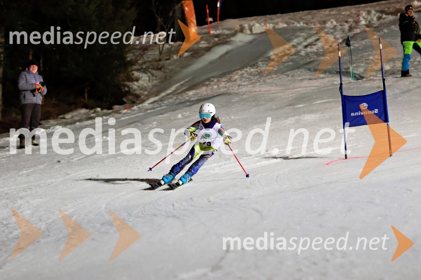 Koroški pokal 2026 - 2. tekma - Ribnica na Pohorju