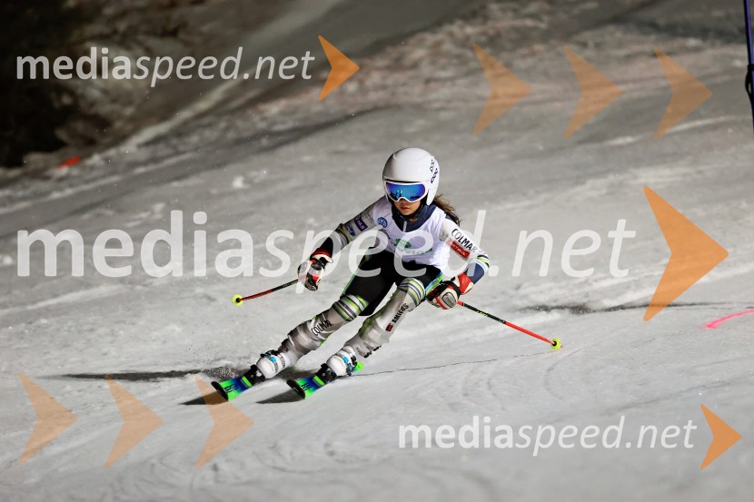 Koroški pokal 2026 - 2. tekma - Ribnica na Pohorju