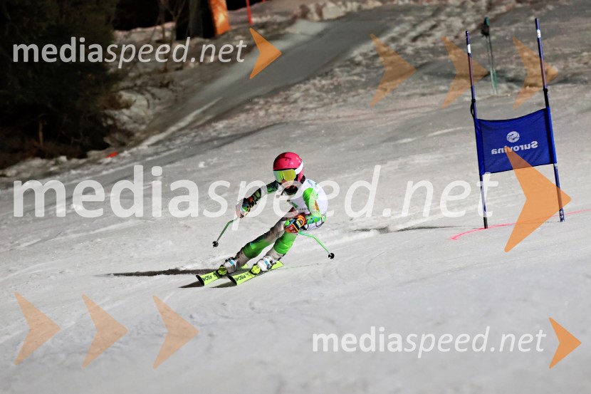 Koroški pokal 2026 - 2. tekma - Ribnica na Pohorju