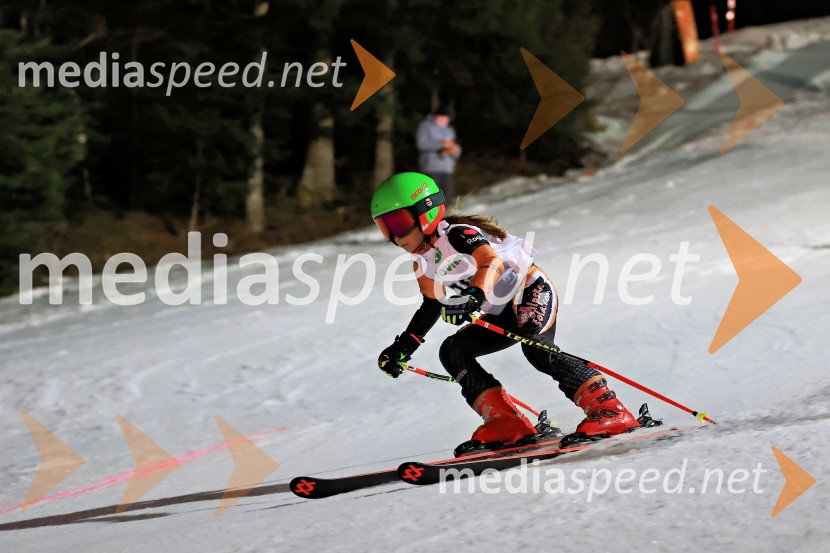 Koroški pokal 2026 - 2. tekma - Ribnica na Pohorju