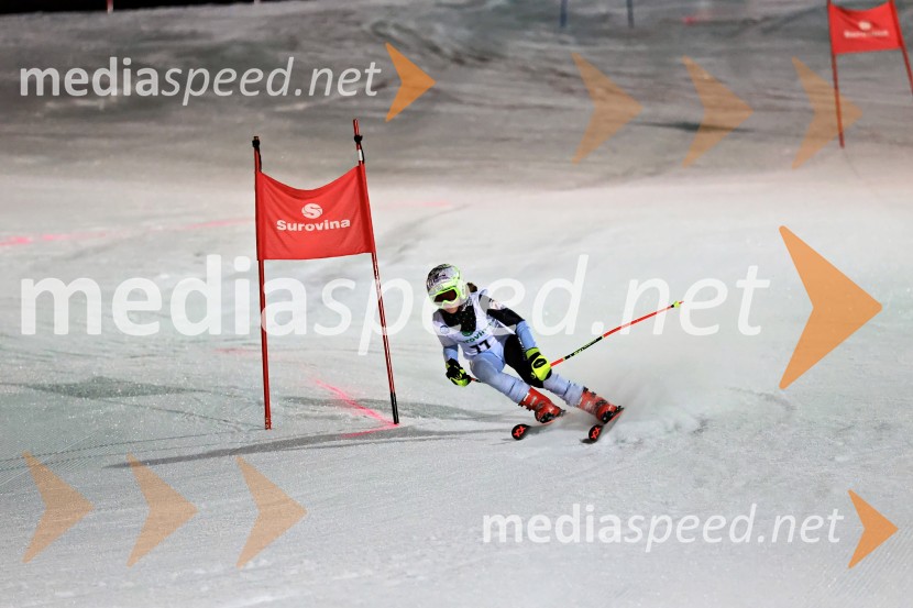 Koroški pokal 2026 - 2. tekma - Ribnica na Pohorju