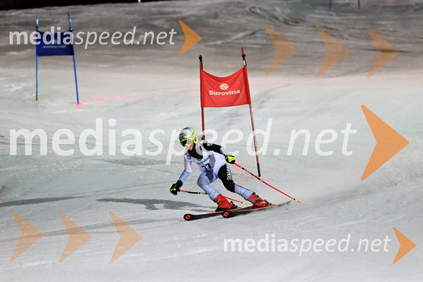 Koroški pokal 2026 - 2. tekma - Ribnica na Pohorju