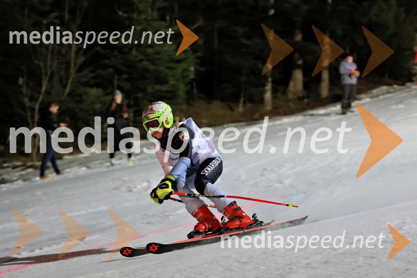 Koroški pokal 2026 - 2. tekma - Ribnica na Pohorju