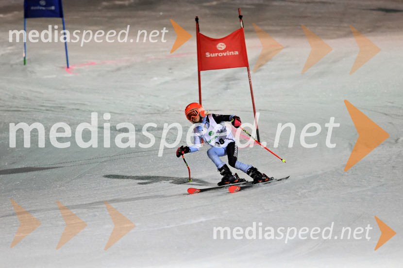 Koroški pokal 2026 - 2. tekma - Ribnica na Pohorju