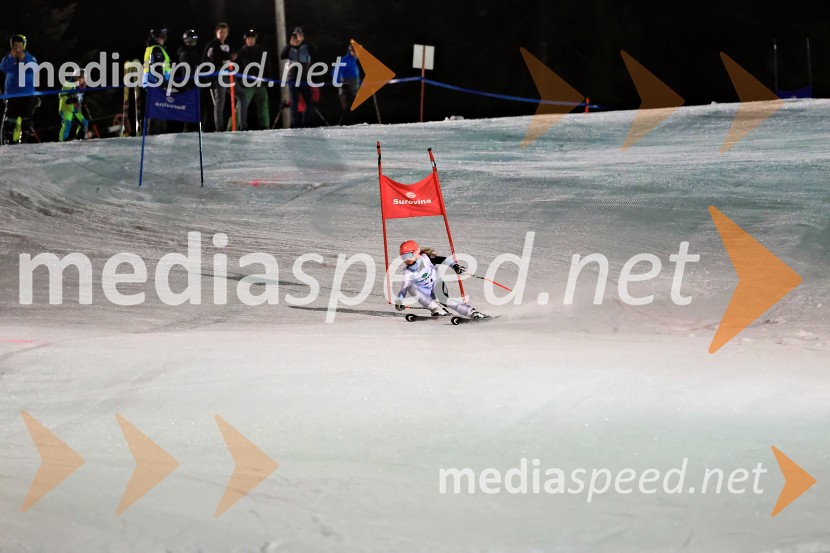 Koroški pokal 2026 - 2. tekma - Ribnica na Pohorju