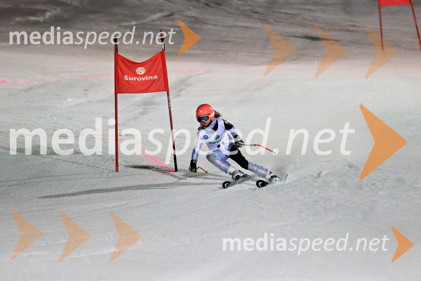 Koroški pokal 2026 - 2. tekma - Ribnica na Pohorju