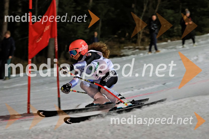 Koroški pokal 2026 - 2. tekma - Ribnica na Pohorju