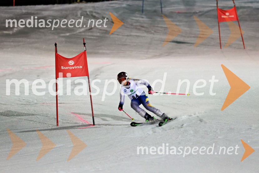 Koroški pokal 2026 - 2. tekma - Ribnica na Pohorju