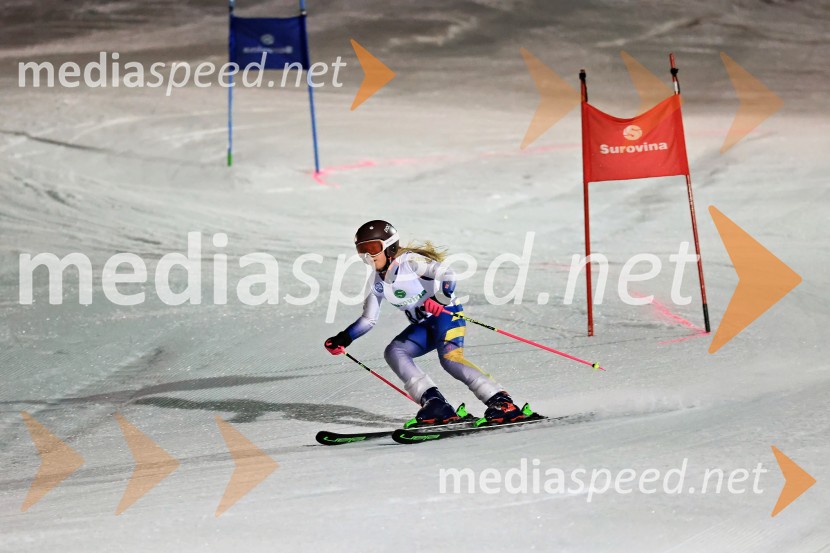 Koroški pokal 2026 - 2. tekma - Ribnica na Pohorju