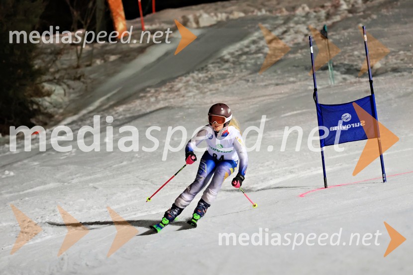 Koroški pokal 2026 - 2. tekma - Ribnica na Pohorju