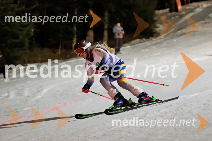 Koroški pokal 2026 - 2. tekma - Ribnica na Pohorju
