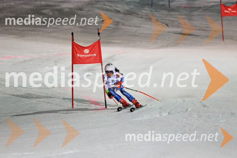 Koroški pokal 2026 - 2. tekma - Ribnica na Pohorju