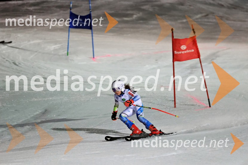 Koroški pokal 2026 - 2. tekma - Ribnica na Pohorju