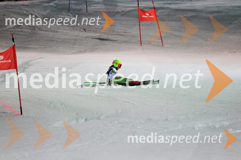Koroški pokal 2026 - 2. tekma - Ribnica na Pohorju