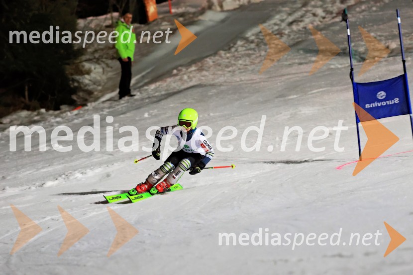 Koroški pokal 2026 - 2. tekma - Ribnica na Pohorju