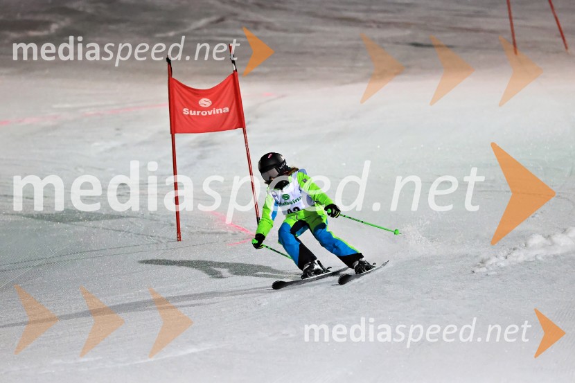Koroški pokal 2026 - 2. tekma - Ribnica na Pohorju