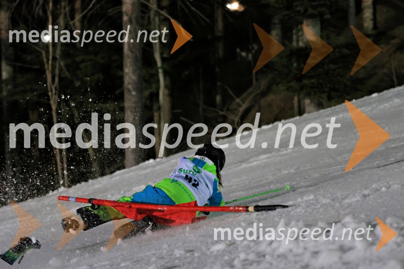 Koroški pokal 2026 - 2. tekma - Ribnica na Pohorju