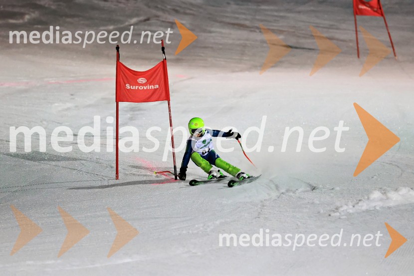 Koroški pokal 2026 - 2. tekma - Ribnica na Pohorju