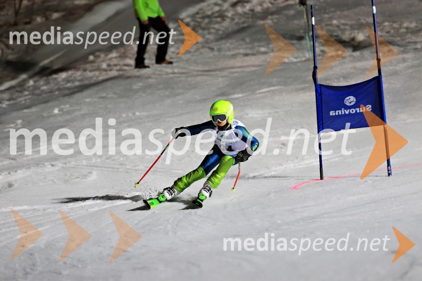 Koroški pokal 2026 - 2. tekma - Ribnica na Pohorju
