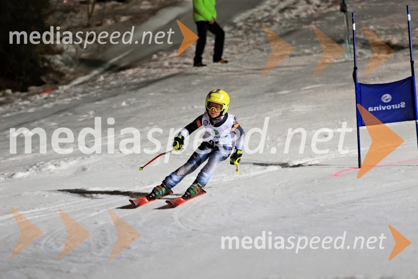 Koroški pokal 2026 - 2. tekma - Ribnica na Pohorju