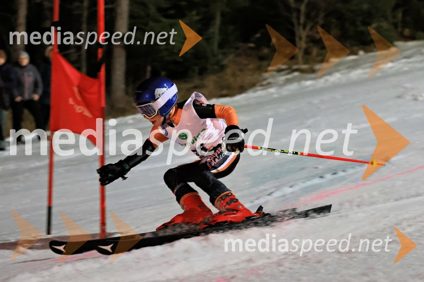 Koroški pokal 2026 - 2. tekma - Ribnica na Pohorju
