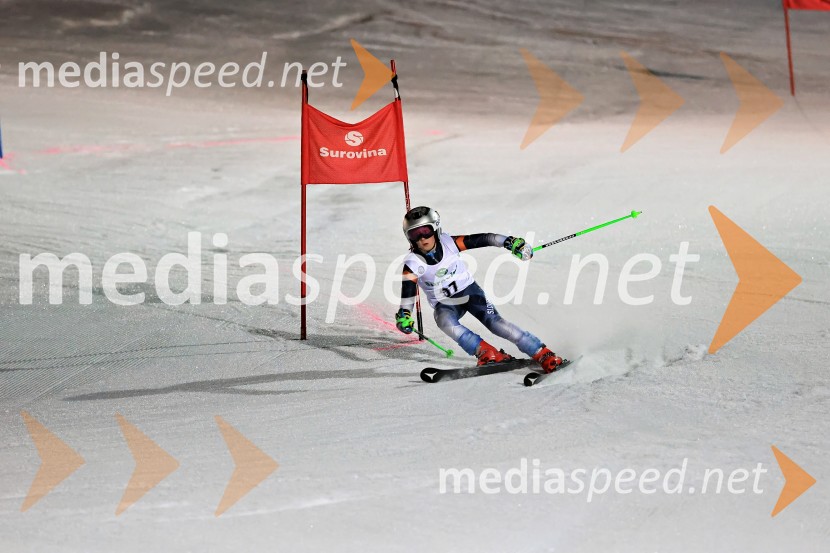 Koroški pokal 2026 - 2. tekma - Ribnica na Pohorju