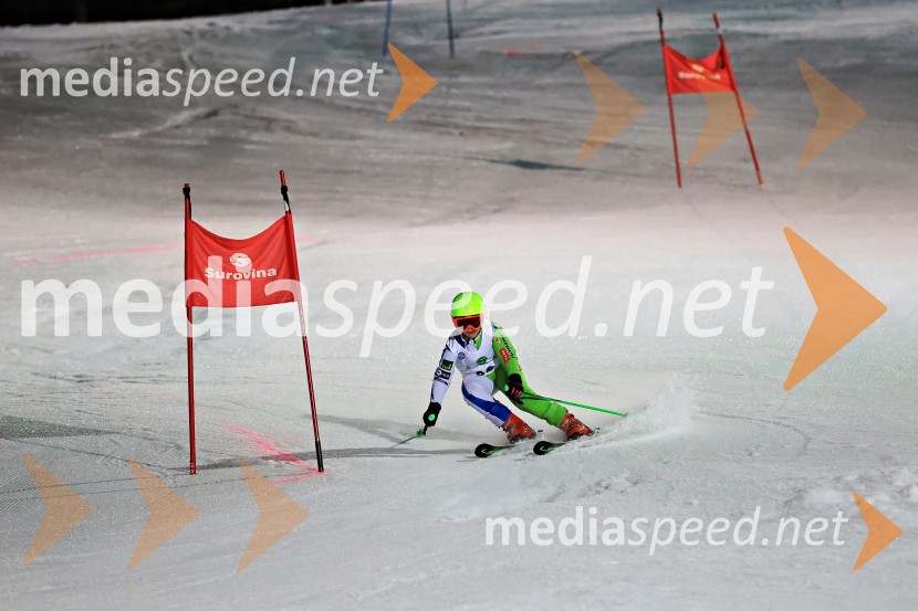 Koroški pokal 2026 - 2. tekma - Ribnica na Pohorju