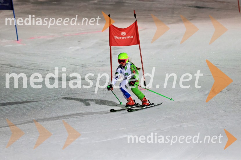 Koroški pokal 2026 - 2. tekma - Ribnica na Pohorju