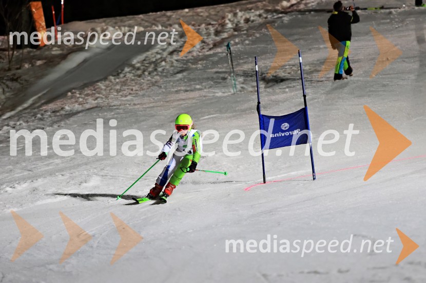 Koroški pokal 2026 - 2. tekma - Ribnica na Pohorju