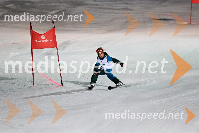 Koroški pokal 2026 - 2. tekma - Ribnica na Pohorju