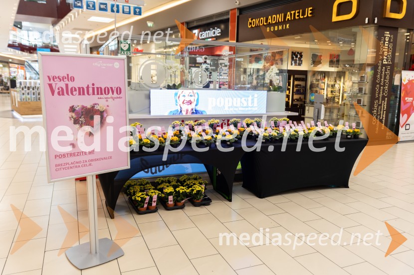 Valentinovo, Citycenter Celje