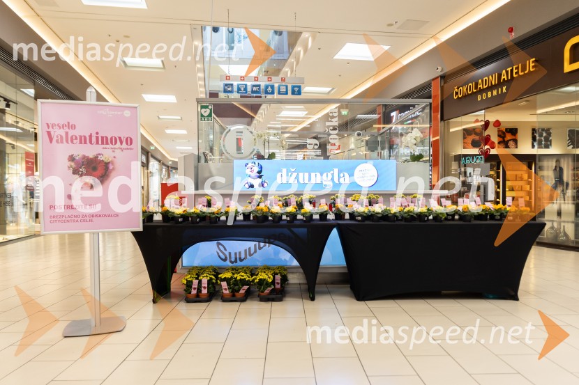 Valentinovo, Citycenter Celje