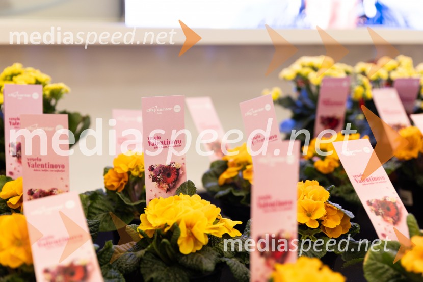 Valentinovo, Citycenter Celje