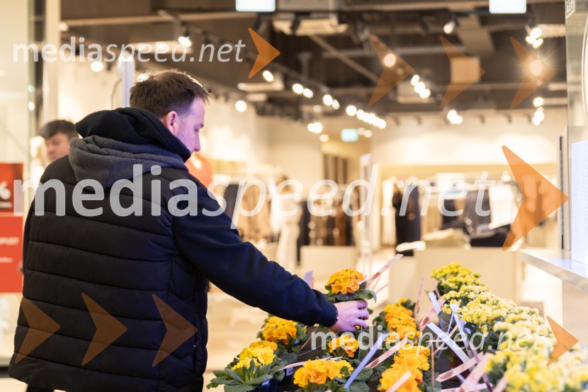 Valentinovo, Citycenter Celje