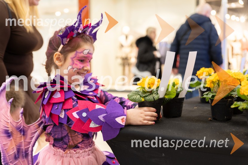 Valentinovo, Citycenter Celje