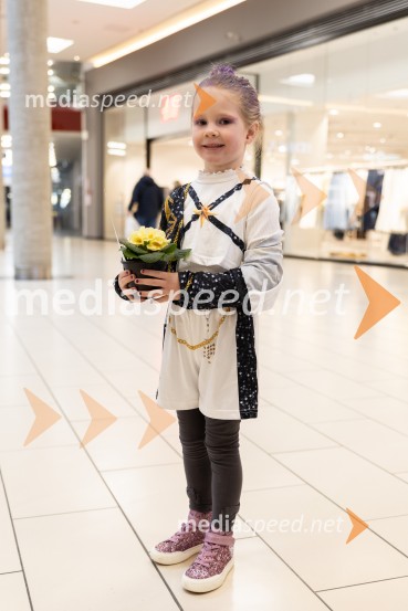 Valentinovo, Citycenter Celje