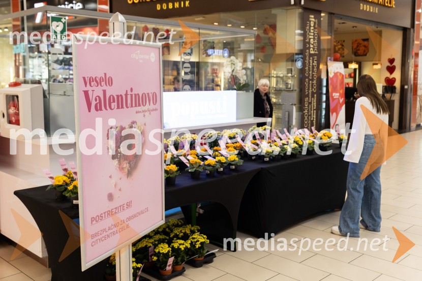 Valentinovo, Citycenter Celje