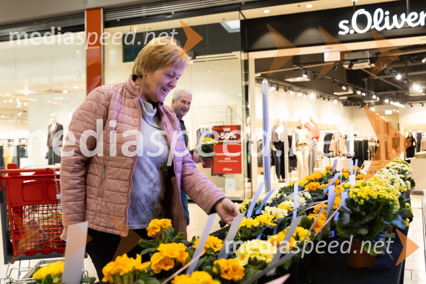 Valentinovo, Citycenter Celje
