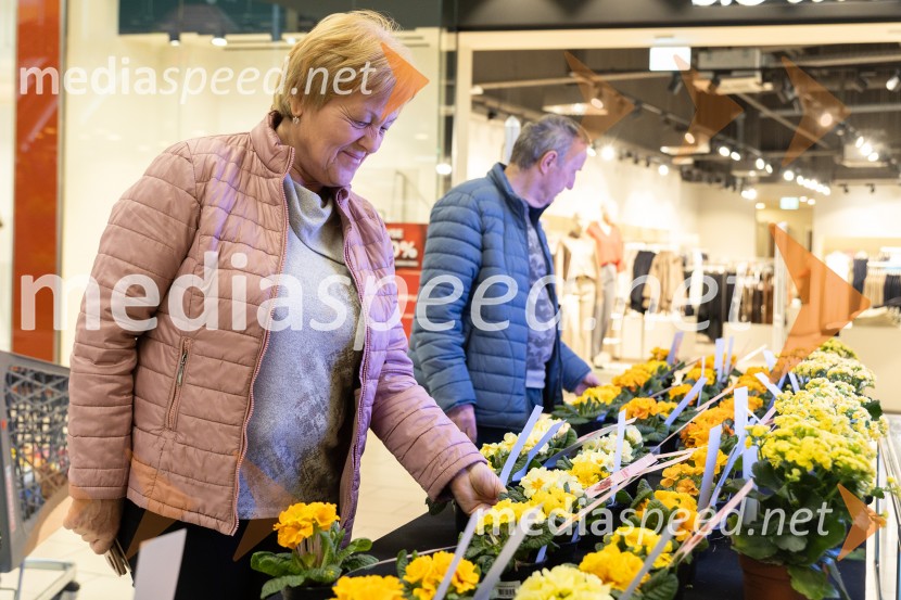 Valentinovo, Citycenter Celje
