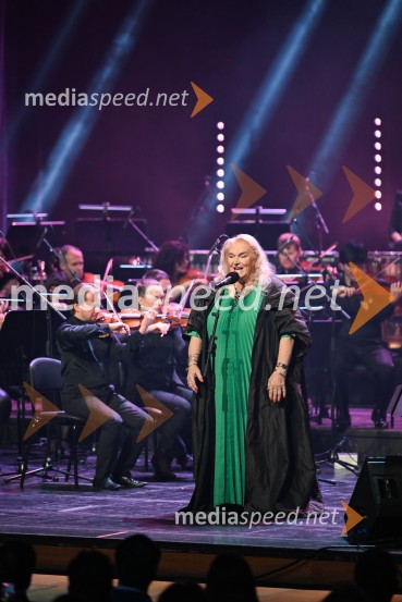 Elda Viler, veličastni poslovilni koncert, Cankarjev dom