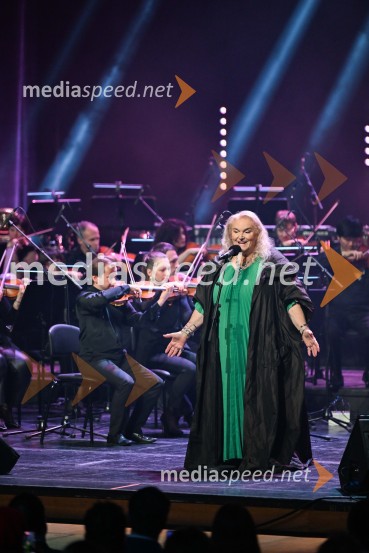 Elda Viler, veličastni poslovilni koncert, Cankarjev dom